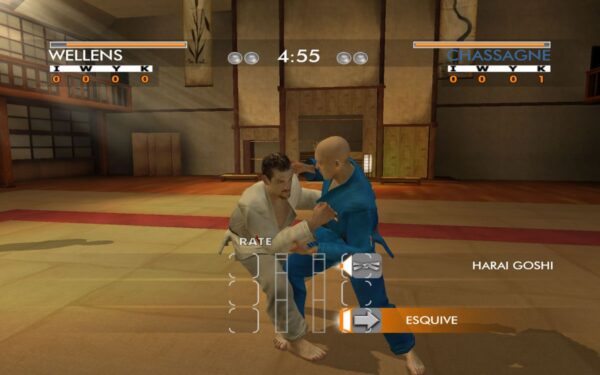 David Douillet Judo - Image 4