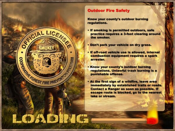 Wildfire - Image 4