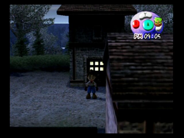 Harvest Moon: A Wonderful Life - Image 3