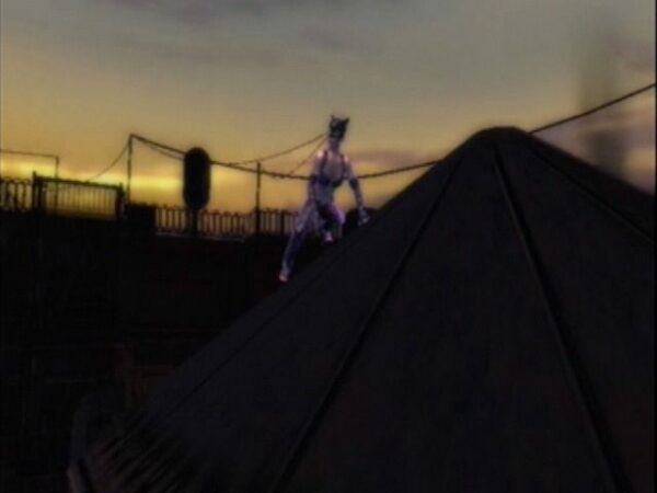 Catwoman - Image 6