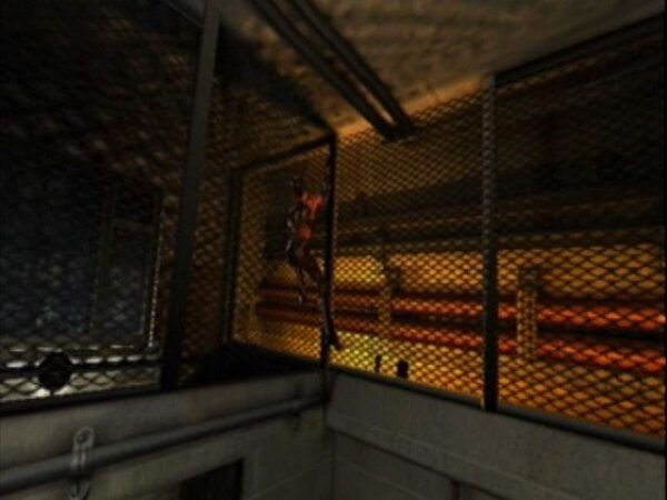 Catwoman - Image 5