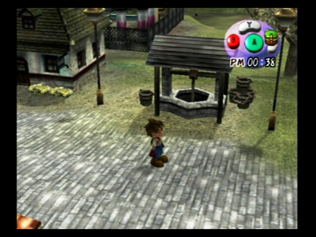 Harvest Moon: A Wonderful Life - Image 4