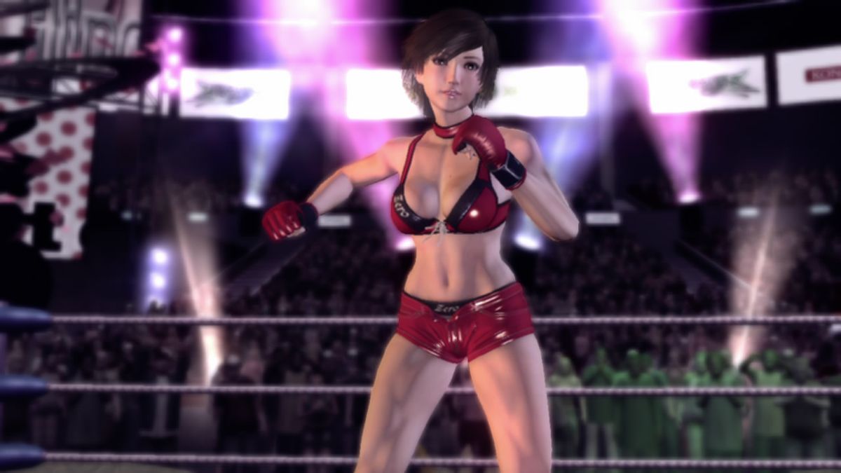 Rumble Roses XX - Image 3