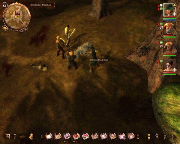 The Dark Eye: Drakensang - Image 5