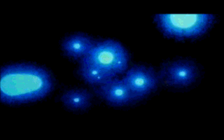 Super Panic Monsters