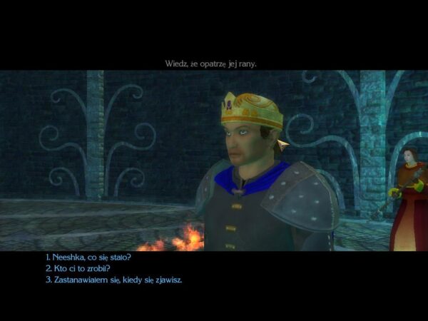 Neverwinter Nights 2 - Image 3