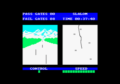 Winter Sports - Image 3