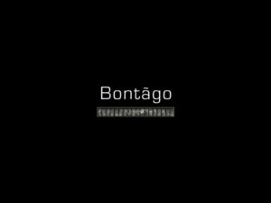 Bontãgo