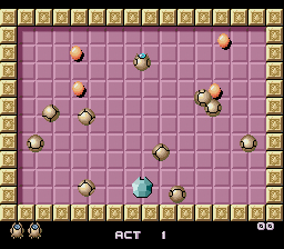 Gomola Speed - Image 5