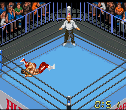 Super Fire Pro Wrestling X Premium - Image 3