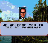 PGA Tour 96 - Image 4