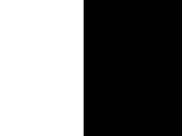 4 Minutes and 33 Seconds of Uniqueness - Image 4