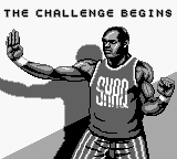 Shaq Fu - Image 2