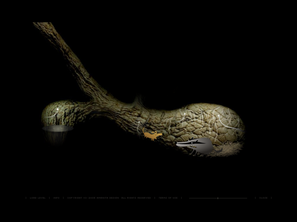 Samorost 2 - Image 3