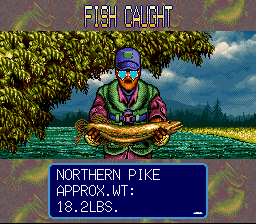 Bassin's Black Bass - Image 2