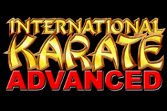 International Karate Advanced - Image 2