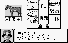 Kyōsōba Ikusei Simulation: KEIBA - Image 3