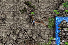 Lara Croft: Tomb Raider - Legend - Image 2