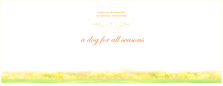 A Dog For All Seasons - Image 6