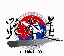 Taekwon-Do - Image 2