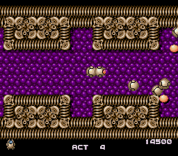 Gomola Speed - Image 3