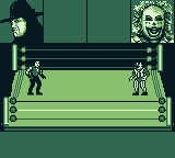 WWF Raw - Image 4