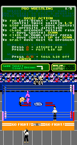 Pro Wrestling - Image 6