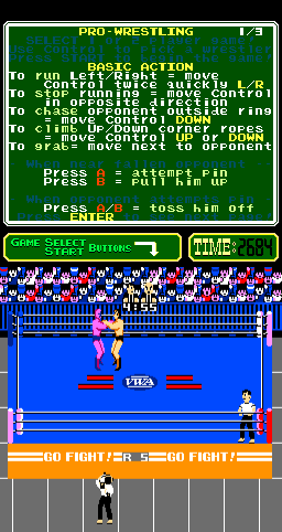 Pro Wrestling - Image 3