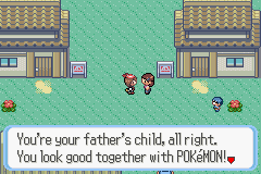 Pokémon Ruby Version - Image 5
