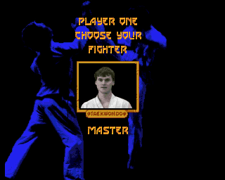 Super TaeKwonDo Master - Image 3