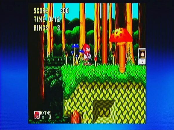 Sonic & Knuckles - Image 6