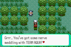 Pokémon Emerald Version - Image 6