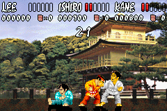 International Karate Advanced - Image 3