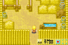 Harvest Moon: More Friends of Mineral Town - Image 2