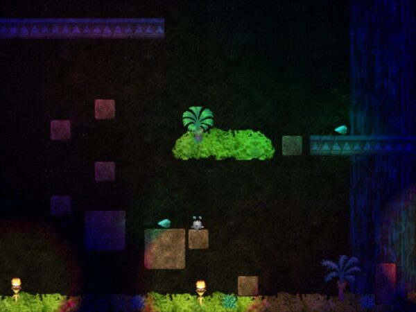 Vivid Conceptions - Image 5