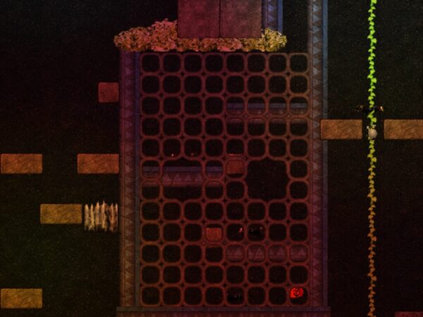 Vivid Conceptions - Image 3