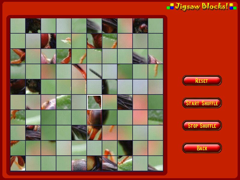 Jigsaw Blocks - Image 3