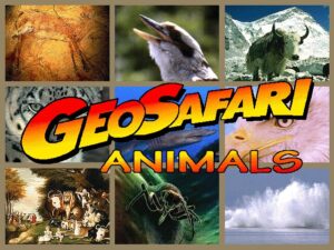 GeoSafari: Animals