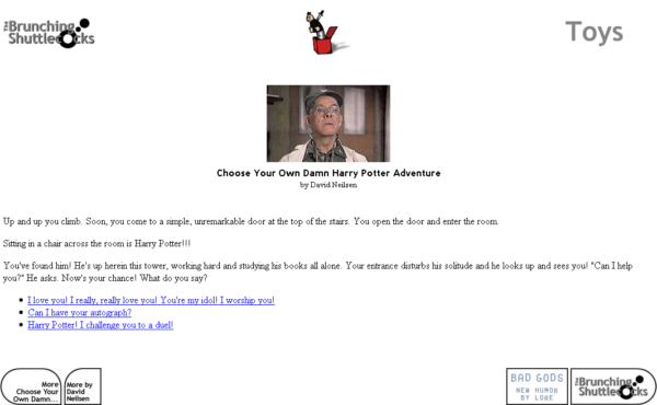 Choose Your Own Damn Harry Potter Adventure - Image 4
