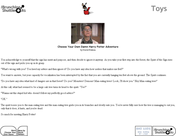 Choose Your Own Damn Harry Potter Adventure - Image 3