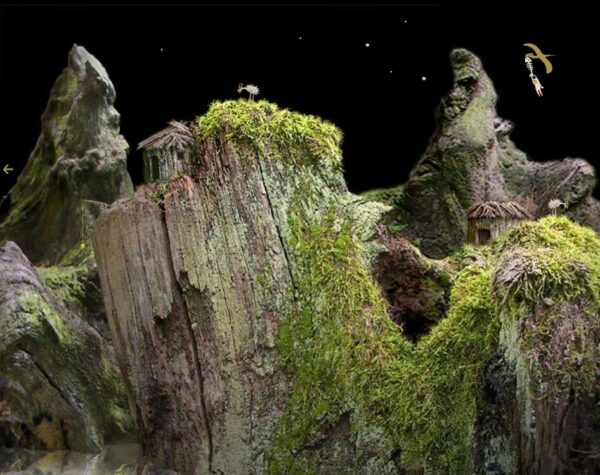 Samorost - Image 6