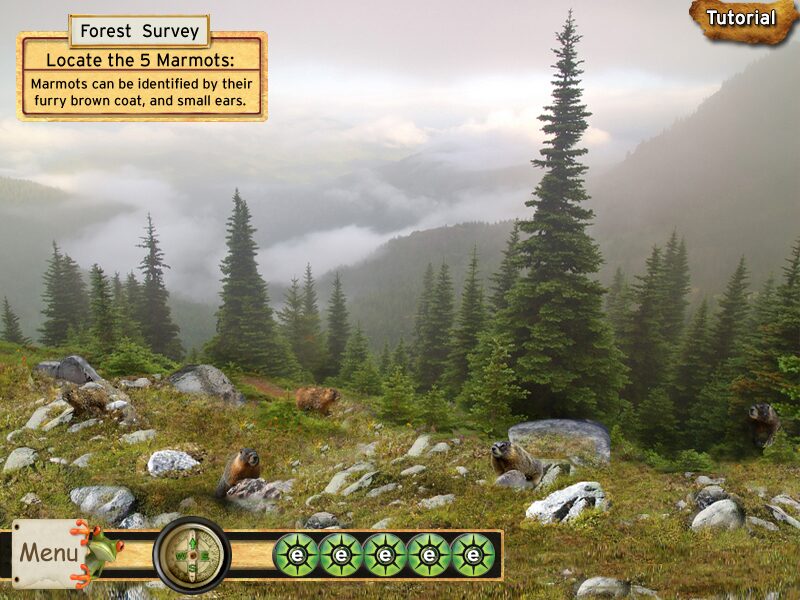 EcoRescue: Project Rainforest - Image 5