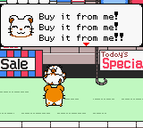 Hamtaro: Ham-Hams Unite! - Image 3