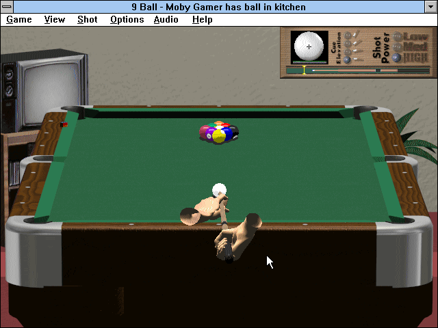 Pool Champion - Image 4