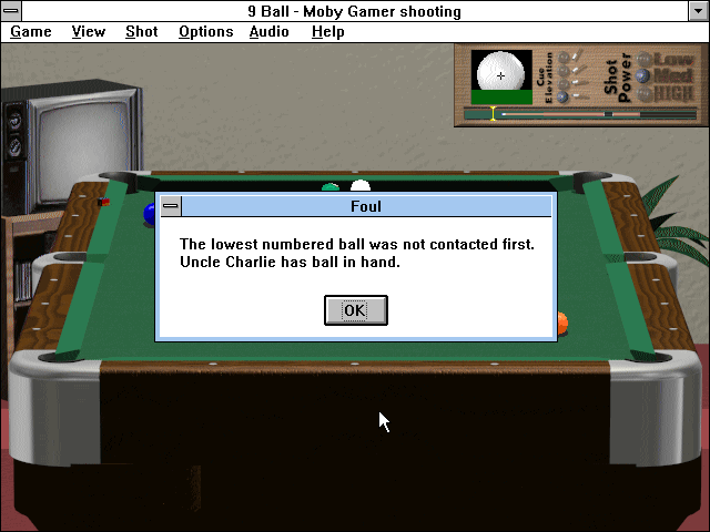 Pool Champion - Image 3