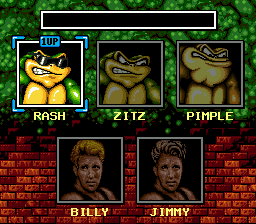 Battletoads / Double Dragon - Image 4