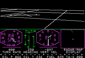 Flight Simulator - Image 3