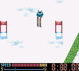 Millennium Winter Sports - Image 4