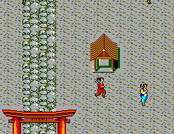 The Ninja - Image 4