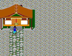 The Ninja - Image 3